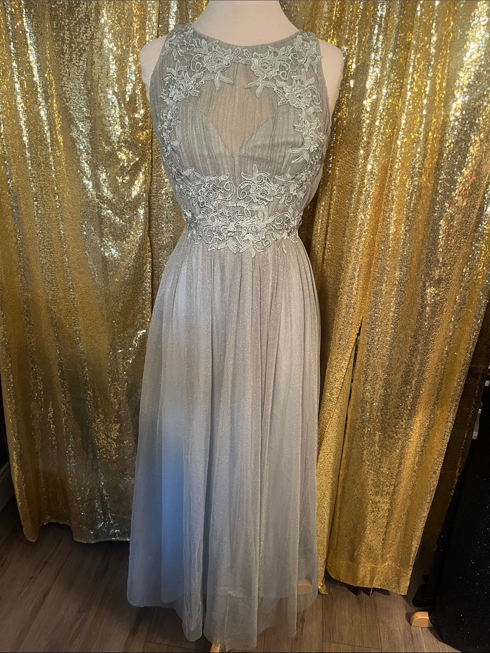 Silver Lace Appliqué Illusion Bodice Maxi Dress